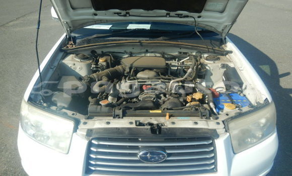 Buy Used Subaru Forester White Car in Port Moresby in National Capital District Buy Used Subaru Forester White Car in Port Moresby in National Capital District