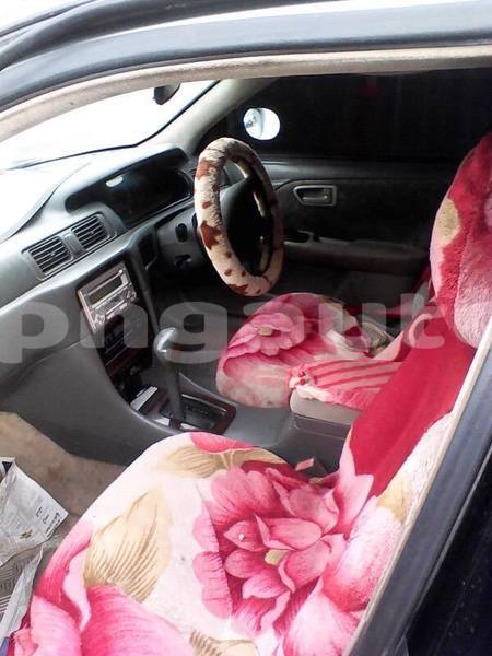 Big with watermark post id 5346 bdb9k