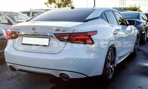 Buy Import Nissan Maxima White Car in Import - Dubai in Enga Buy Import Nissan Maxima White Car in Import - Dubai in Enga