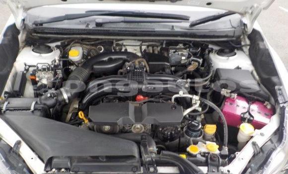 Buy Used Subaru Impreza White Car in Port Moresby in National Capital District Buy Used Subaru Impreza White Car in Port Moresby in National Capital District