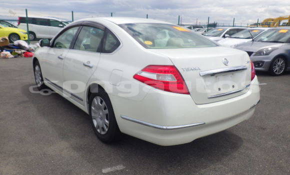 Buy Used Nissan Teana White Car in Port Moresby in National Capital District Buy Used Nissan Teana White Car in Port Moresby in National Capital District