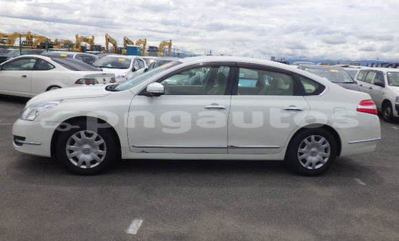 Buy Used Nissan Teana White Car in Port Moresby in National Capital District Buy Used Nissan Teana White Car in Port Moresby in National Capital District