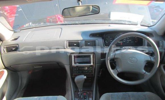 Buy Used Toyota Camry Black Car in Port Moresby in National Capital District Buy Used Toyota Camry Black Car in Port Moresby in National Capital District