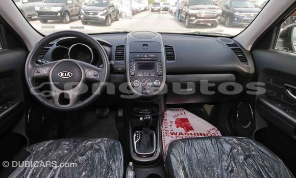 Buy Import Kia Soul Black Car in Import - Dubai in Enga Buy Import Kia Soul Black Car in Import - Dubai in Enga