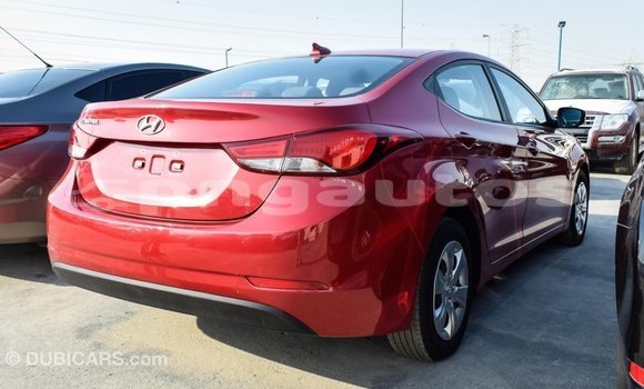 Buy Import Hyundai Elantra Red Car in Import - Dubai in Enga Buy Import Hyundai Elantra Red Car in Import - Dubai in Enga