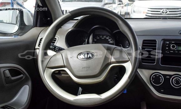Buy Import Kia Picanto White Car in Import - Dubai in Enga Buy Import Kia Picanto White Car in Import - Dubai in Enga