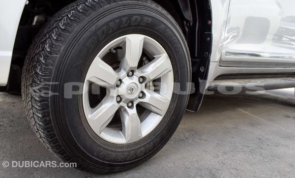 Buy Import Toyota Prado Other Car in Import - Dubai in Enga Buy Import Toyota Prado Other Car in Import - Dubai in Enga
