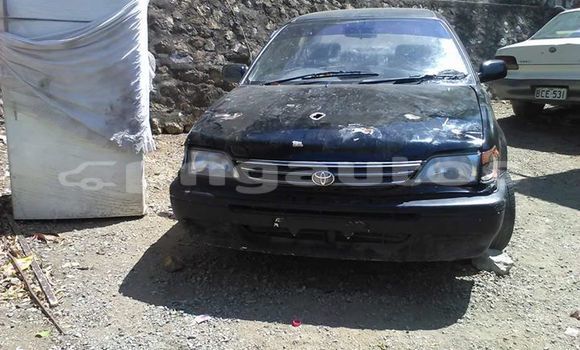 Buy Used Toyota Corolla Other Car in Kerema in Gulf Buy Used Toyota Corolla Other Car in Kerema in Gulf