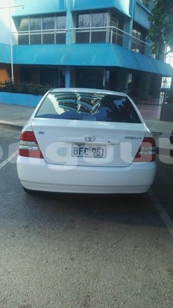 Big with watermark post id 12469 7px7e