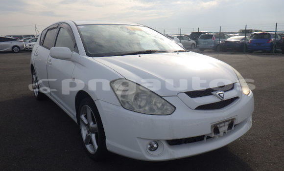 Buy Used Toyota Caldina White Car in Port Moresby in National Capital District Buy Used Toyota Caldina White Car in Port Moresby in National Capital District