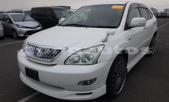 Buy Used Toyota Harrier White Car in Port Moresby in National Capital District Buy Used Toyota Harrier White Car in Port Moresby in National Capital District
