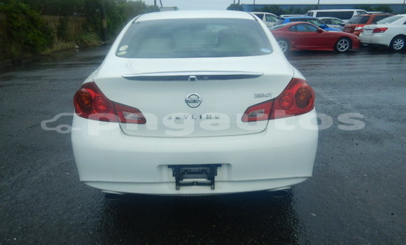 Buy Used Nissan Skyline White Car in Port Moresby in National Capital District Buy Used Nissan Skyline White Car in Port Moresby in National Capital District