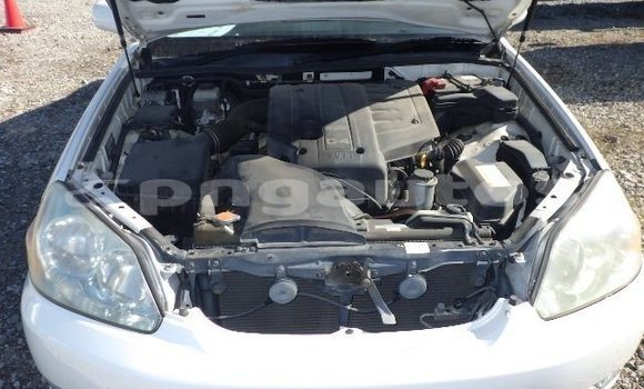 Acheter Occasion Voiture Toyota MarkII Autre à Popondetta, Oro Acheter Occasion Voiture Toyota MarkII Autre à Popondetta, Oro