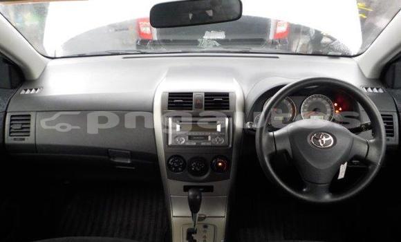 Buy Import Toyota Corolla Silver Car in Port Moresby in National Capital District Buy Import Toyota Corolla Silver Car in Port Moresby in National Capital District