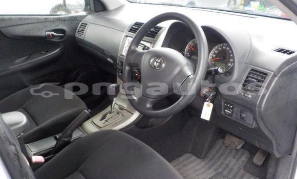 Buy Import Toyota Corolla Silver Car in Port Moresby in National Capital District Buy Import Toyota Corolla Silver Car in Port Moresby in National Capital District