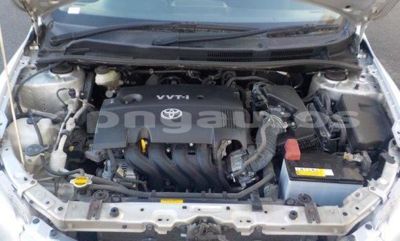 Buy Import Toyota Corolla Silver Car in Port Moresby in National Capital District Buy Import Toyota Corolla Silver Car in Port Moresby in National Capital District