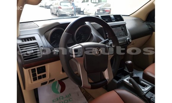 Buy Import Toyota Prado Brown Car in Import - Dubai in Enga Buy Import Toyota Prado Brown Car in Import - Dubai in Enga