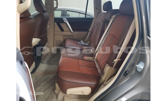 Buy Import Toyota Prado Brown Car in Import - Dubai in Enga Buy Import Toyota Prado Brown Car in Import - Dubai in Enga