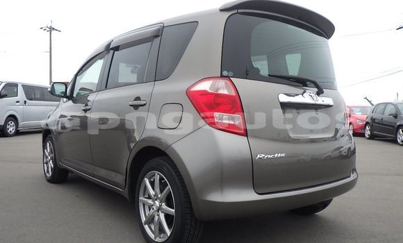 Buy Import Toyota Ractis Brown Car in Port Moresby in National Capital District Buy Import Toyota Ractis Brown Car in Port Moresby in National Capital District
