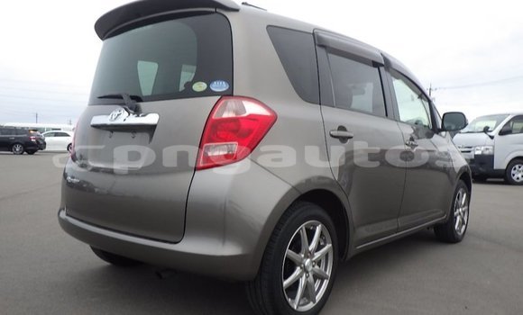 Buy Import Toyota Ractis Brown Car in Port Moresby in National Capital District Buy Import Toyota Ractis Brown Car in Port Moresby in National Capital District
