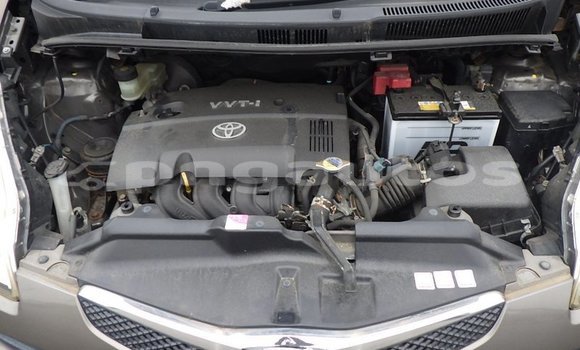 Buy Import Toyota Ractis Brown Car in Port Moresby in National Capital District Buy Import Toyota Ractis Brown Car in Port Moresby in National Capital District