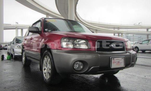 Buy Used Subaru Forester Other Car in Madang in Madang