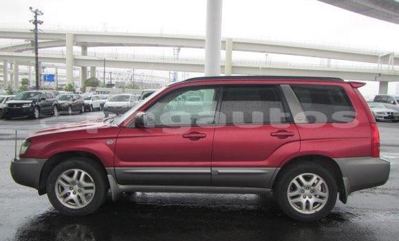 Buy Used Subaru Forester Other Car in Madang in Madang Buy Used Subaru Forester Other Car in Madang in Madang
