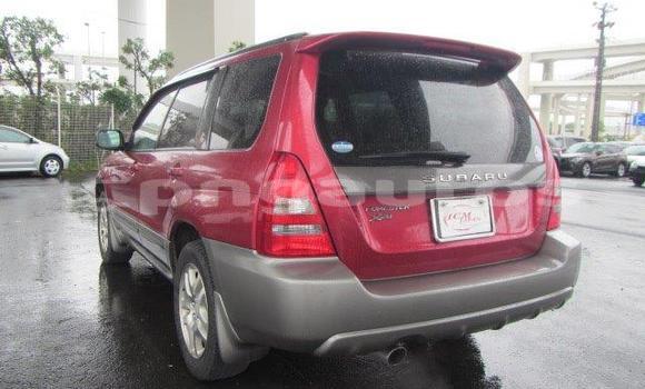 Buy Used Subaru Forester Other Car in Madang in Madang Buy Used Subaru Forester Other Car in Madang in Madang