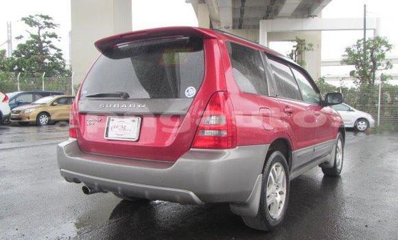 Buy Used Subaru Forester Other Car in Madang in Madang Buy Used Subaru Forester Other Car in Madang in Madang