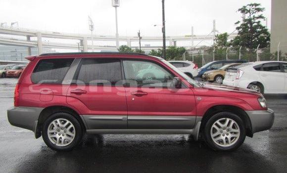 Buy Used Subaru Forester Other Car in Madang in Madang Buy Used Subaru Forester Other Car in Madang in Madang