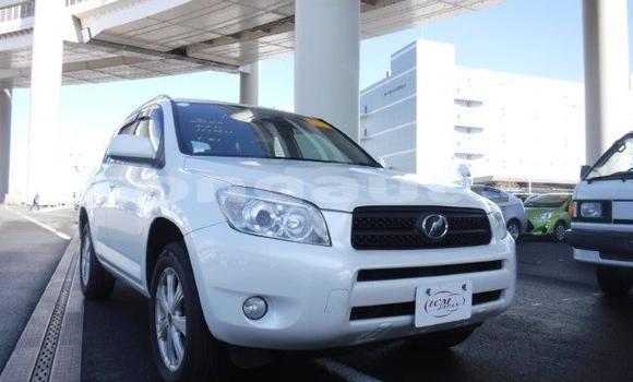 Buy Used Toyota RAV4 White Car in Port Moresby in National Capital District Buy Used Toyota RAV4 White Car in Port Moresby in National Capital District