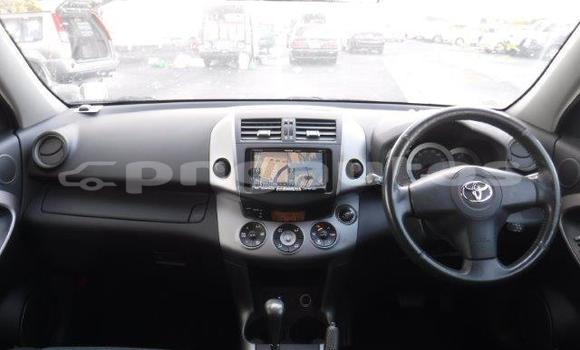 Buy Used Toyota RAV4 White Car in Port Moresby in National Capital District Buy Used Toyota RAV4 White Car in Port Moresby in National Capital District