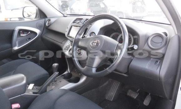 Buy Used Toyota RAV4 White Car in Port Moresby in National Capital District Buy Used Toyota RAV4 White Car in Port Moresby in National Capital District