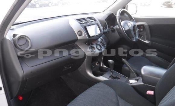 Buy Used Toyota RAV4 White Car in Port Moresby in National Capital District Buy Used Toyota RAV4 White Car in Port Moresby in National Capital District