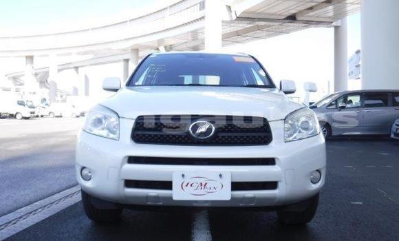 Buy Used Toyota RAV4 White Car in Port Moresby in National Capital District Buy Used Toyota RAV4 White Car in Port Moresby in National Capital District