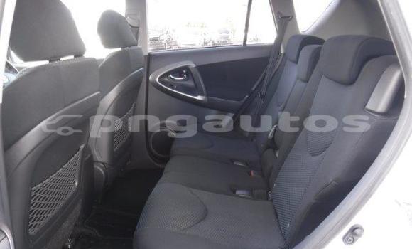 Buy Used Toyota RAV4 White Car in Port Moresby in National Capital District Buy Used Toyota RAV4 White Car in Port Moresby in National Capital District
