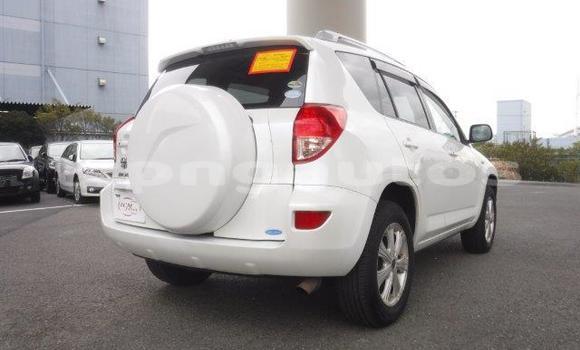 Buy Used Toyota RAV4 White Car in Port Moresby in National Capital District Buy Used Toyota RAV4 White Car in Port Moresby in National Capital District