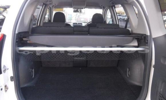 Buy Used Toyota RAV4 White Car in Port Moresby in National Capital District Buy Used Toyota RAV4 White Car in Port Moresby in National Capital District