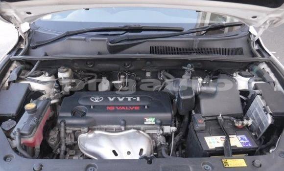 Buy Used Toyota RAV4 White Car in Port Moresby in National Capital District Buy Used Toyota RAV4 White Car in Port Moresby in National Capital District