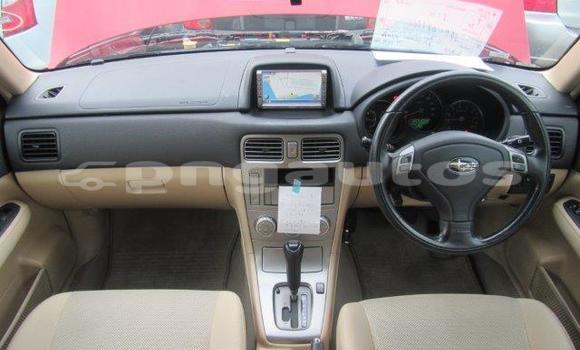 Buy Used Subaru Forester Red Car in Port Moresby in National Capital District Buy Used Subaru Forester Red Car in Port Moresby in National Capital District
