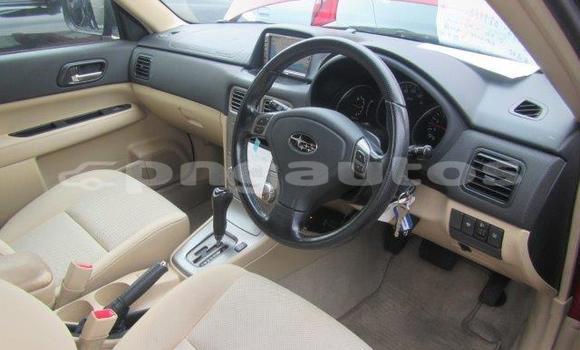 Buy Used Subaru Forester Red Car in Port Moresby in National Capital District Buy Used Subaru Forester Red Car in Port Moresby in National Capital District