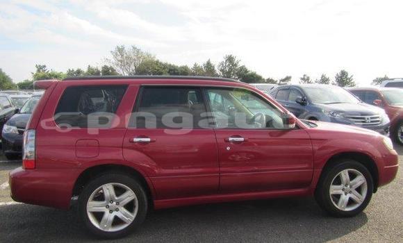 Buy Used Subaru Forester Red Car in Port Moresby in National Capital District Buy Used Subaru Forester Red Car in Port Moresby in National Capital District