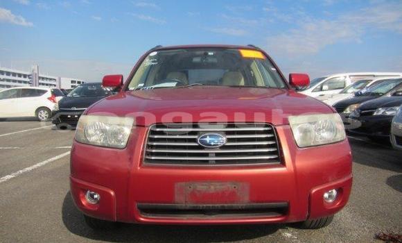 Buy Used Subaru Forester Red Car in Port Moresby in National Capital District Buy Used Subaru Forester Red Car in Port Moresby in National Capital District