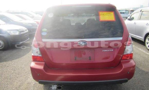 Buy Used Subaru Forester Red Car in Port Moresby in National Capital District Buy Used Subaru Forester Red Car in Port Moresby in National Capital District