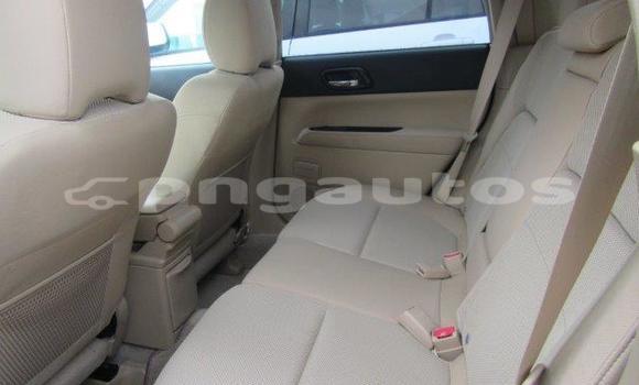 Buy Used Subaru Forester Red Car in Port Moresby in National Capital District Buy Used Subaru Forester Red Car in Port Moresby in National Capital District