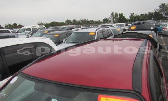 Buy Used Subaru Forester Red Car in Port Moresby in National Capital District Buy Used Subaru Forester Red Car in Port Moresby in National Capital District
