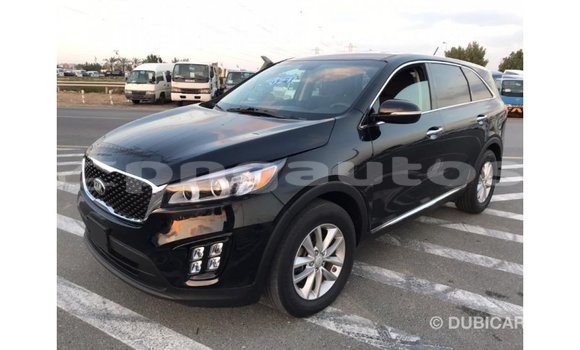 Buy Import Kia Sorento Black Car in Import - Dubai in Enga Buy Import Kia Sorento Black Car in Import - Dubai in Enga