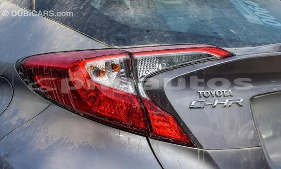 Buy Import Toyota C-HR Other Car in Import - Dubai in Enga Buy Import Toyota C-HR Other Car in Import - Dubai in Enga