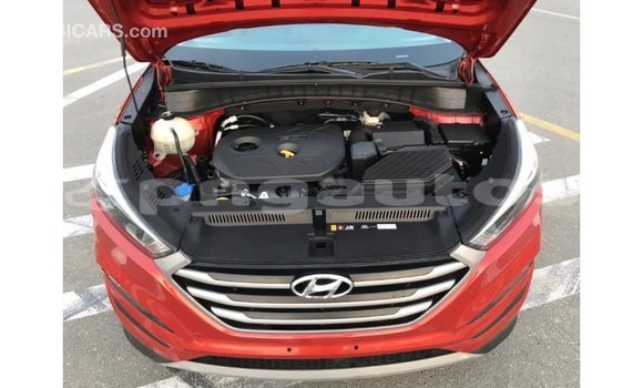 Buy Import Hyundai Tucson Red Car in Import - Dubai in Enga Buy Import Hyundai Tucson Red Car in Import - Dubai in Enga