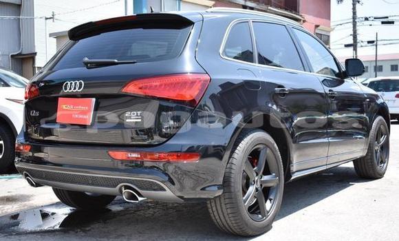 Buy Used Audi Q5 Black Car in Port Moresby in National Capital District Buy Used Audi Q5 Black Car in Port Moresby in National Capital District